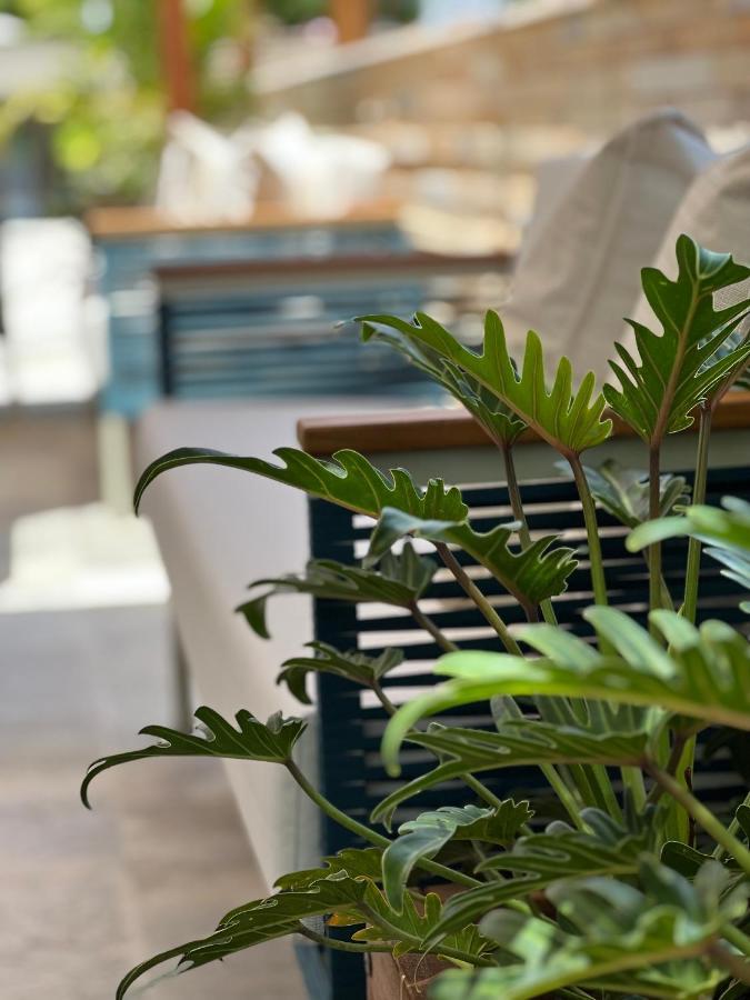 Maihai Porto Pôrto das Galinhas Екстериор снимка